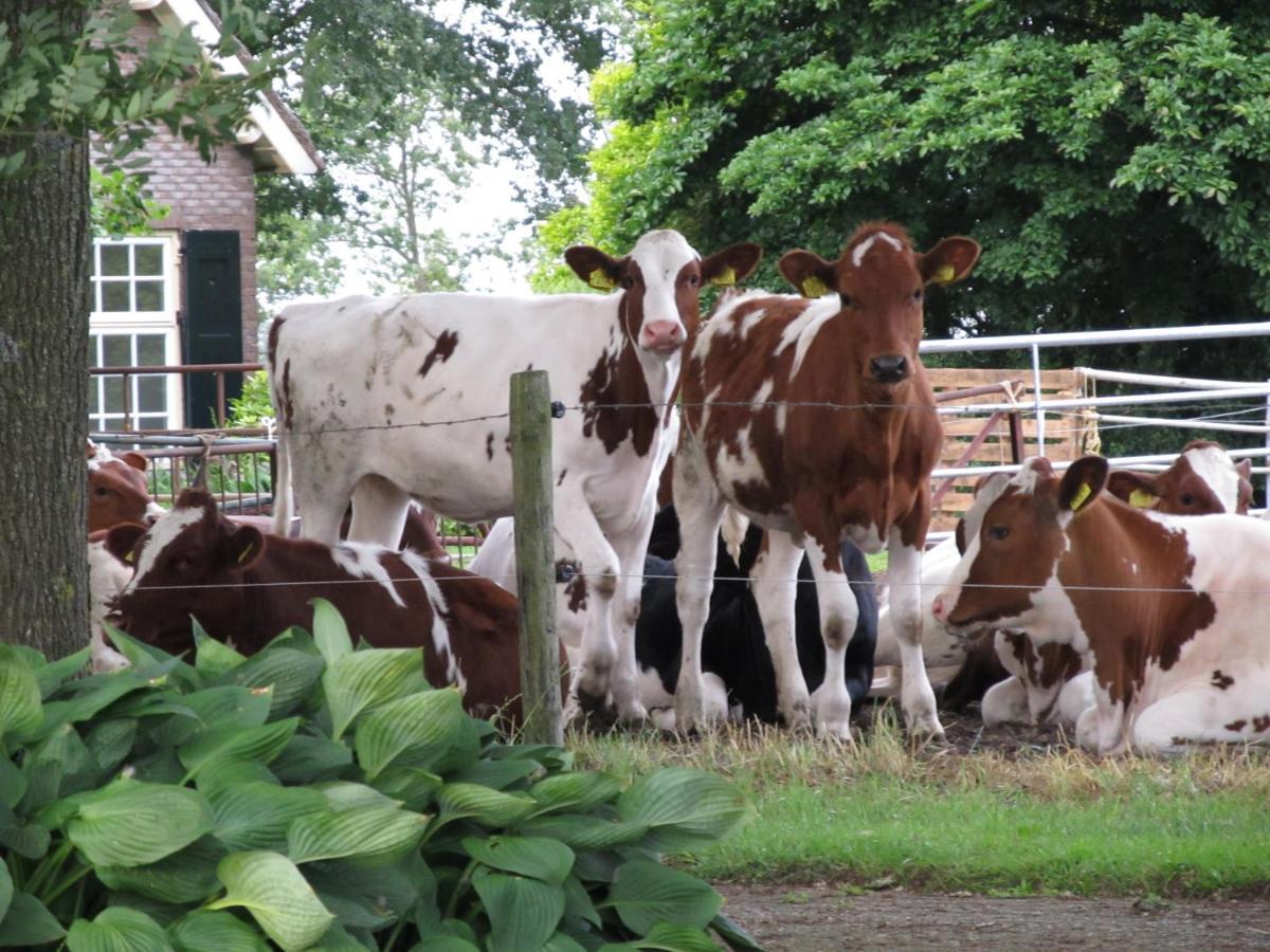 Apartamento Boerderij De Aarnink Heeten Exterior foto